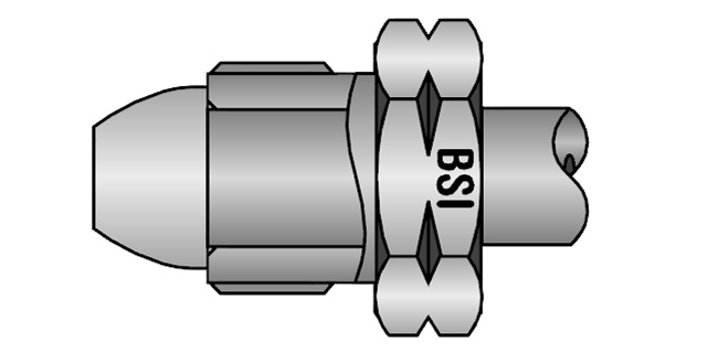 bsi-inl